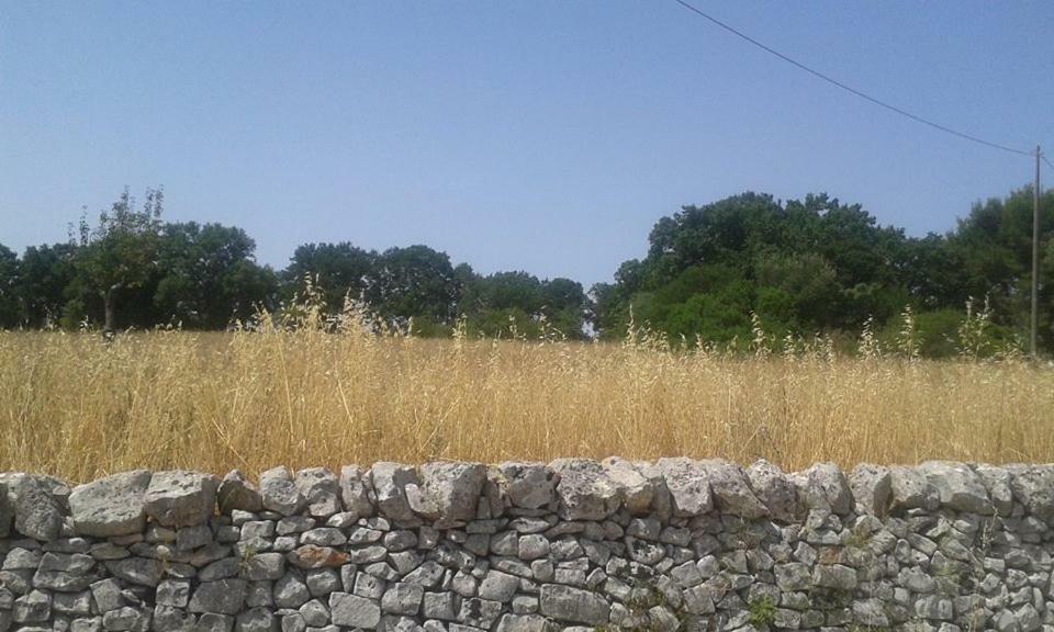Trullo Le Tre Sorelle Cisternino Exterior photo